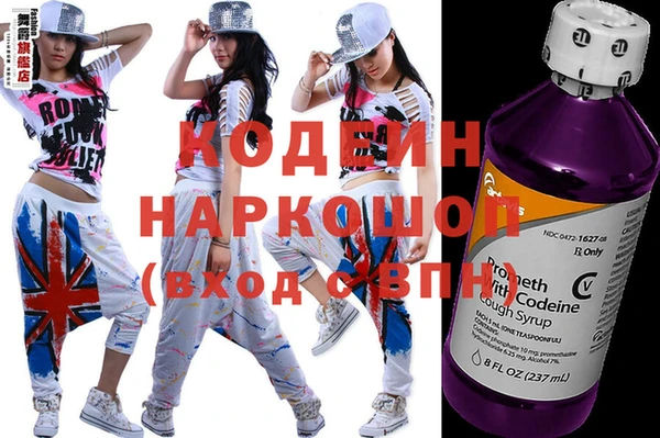 крисы Надым