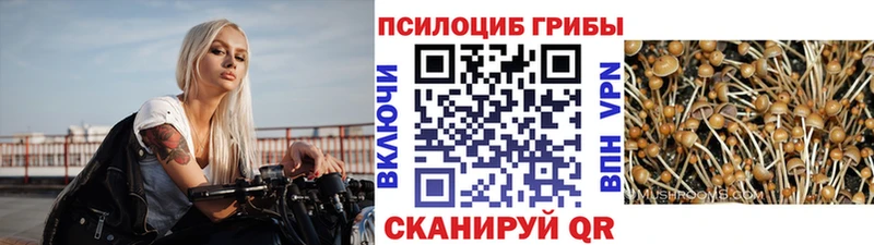 гидра ONION  Юрьевец  shop как зайти  Псилоцибиновые грибы ЛСД 